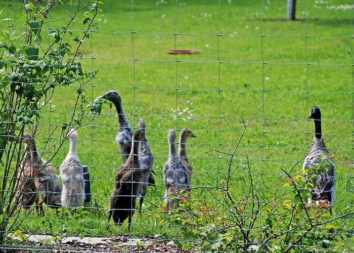 Sehr Schoene In Pose Apartmán Poseritz